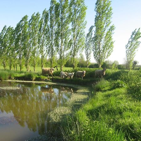 La Ferme De Magnantru Bed & Breakfast Perigne ภายนอก รูปภาพ