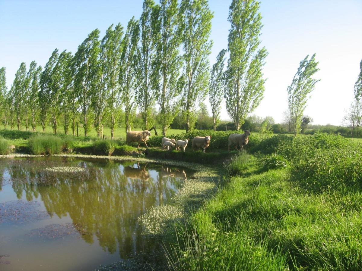 La Ferme De Magnantru Bed & Breakfast Perigne ภายนอก รูปภาพ